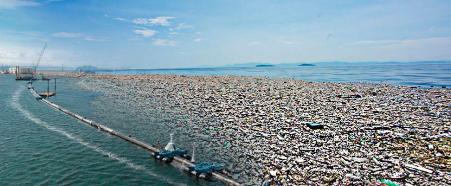 What is the Great Pacific Garbage Patch?